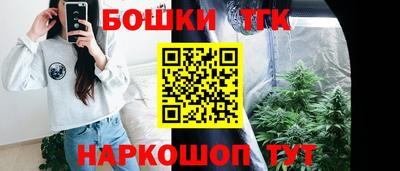 индика Комсомольск-на-Амуре