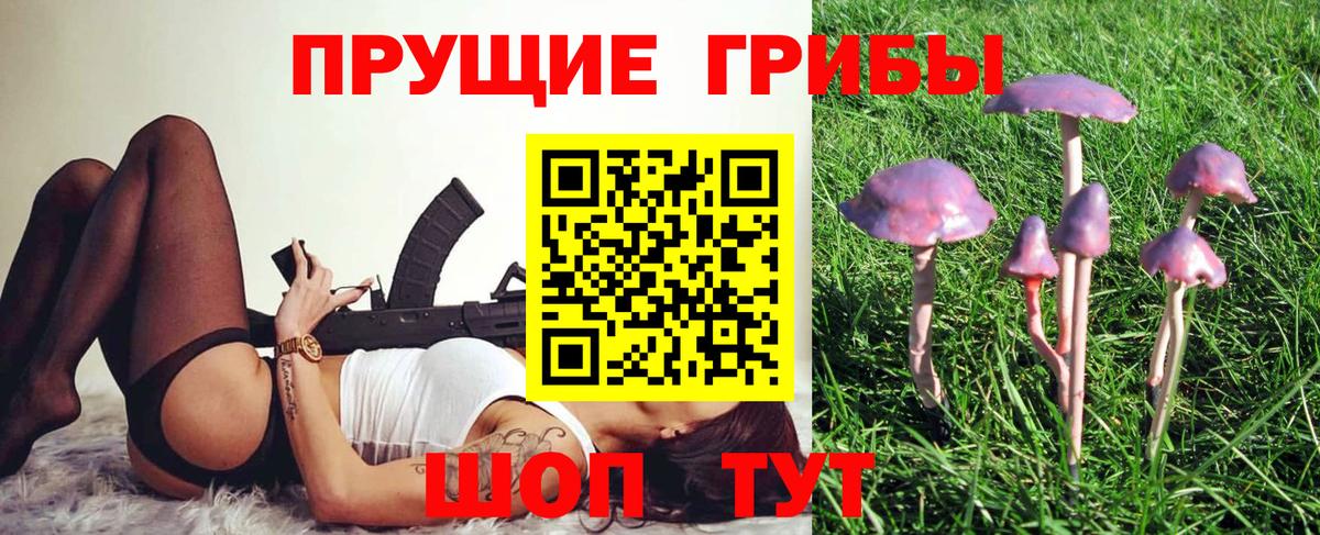 Каспийск  Псилоцибиновые грибы Magic Shrooms  Вход с VPN  Псилоцибиновые грибы Psilocybe 