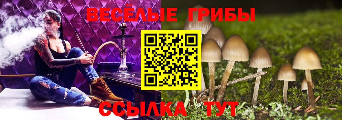 Псилоцибиновые грибы MAGIC MUSHROOMS Каспийск